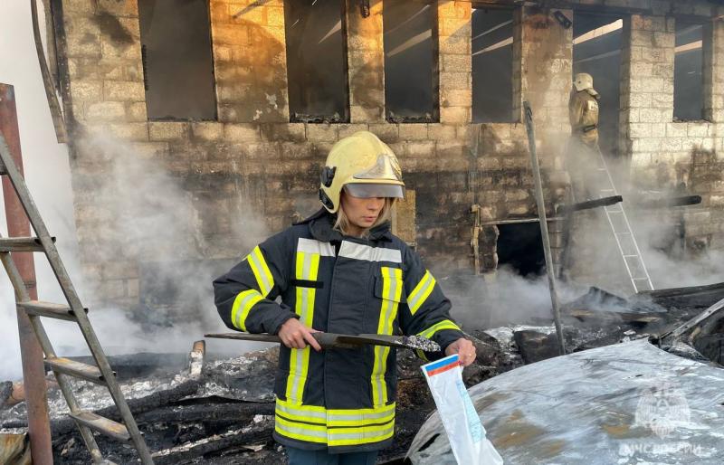 Ночью в Тольятти сгорел дом, баня и две машины