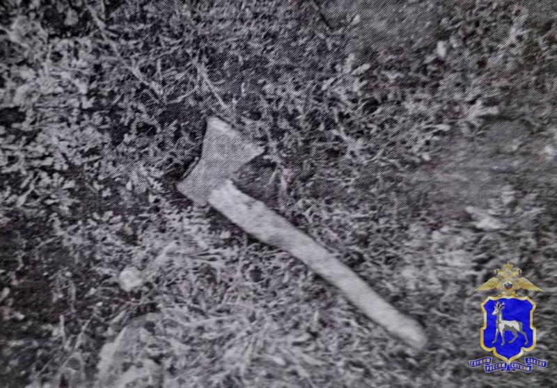 Житель Самарской области угрожал топором своему 17-летнему пасынку