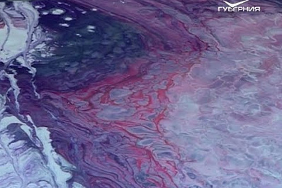 Выставка художницы, рисующей эпоксидной смолой, открылась в Самаре