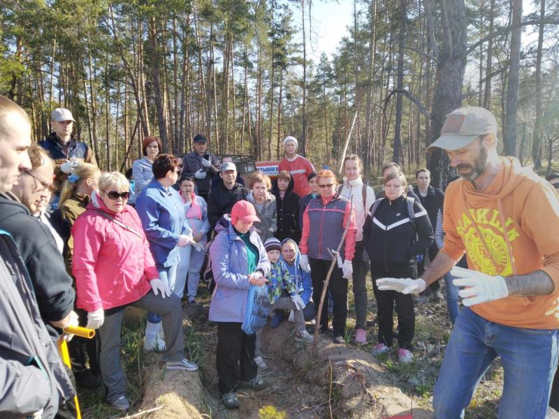 В Тольятти общественники посадят молодой лес на 9,5 гектарах