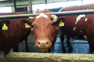 Погода на 19 августа 2025 года: народные приметы и прогноз синоптиков