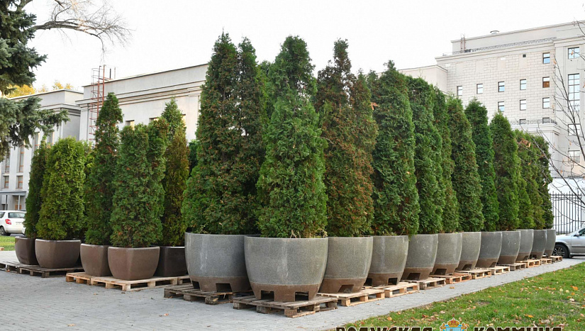 21 ноября в истории и архиве "ВК"