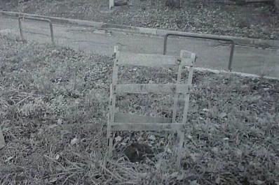 В Самаре мужчина и женщина решили заработать на продаже украденных саженцев