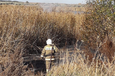 В Самарской области на площади в 2000 кв. м горит камыш   
