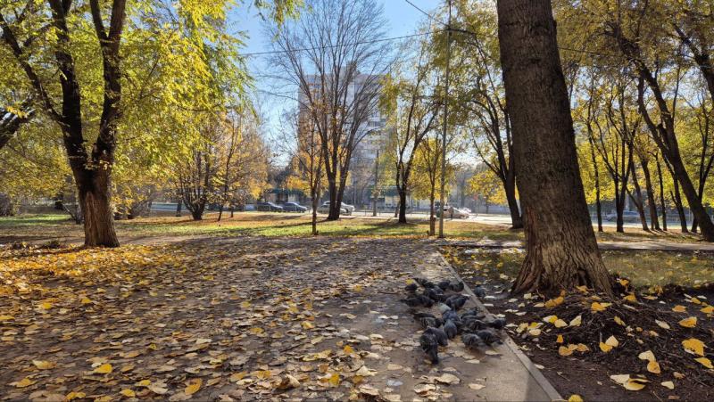 Сухо, снежно или сыро: прогноз погоды на длинные выходные в Самарской области