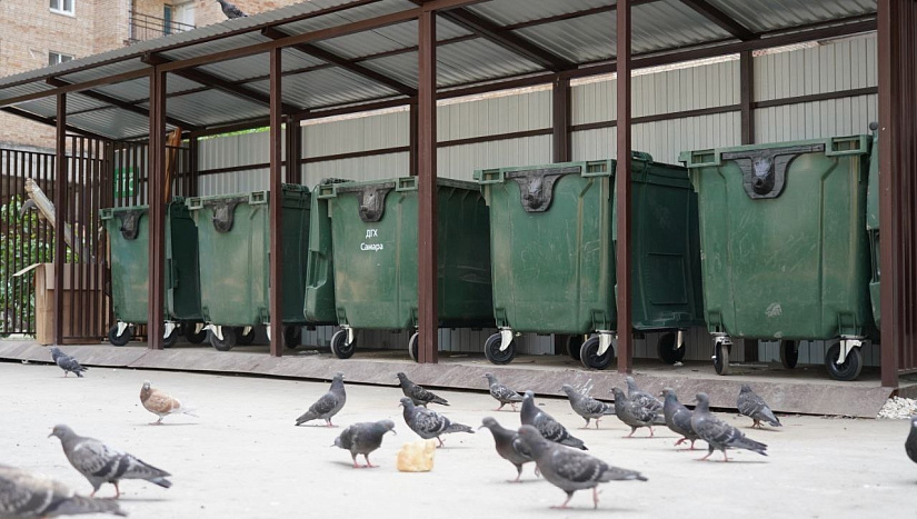 11 ноября: пресс-конференция "Обращение с ТКО: новые тарифы, льготы и обновление инфраструктуры"