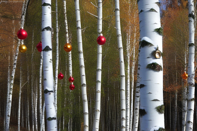 В соцопросе самарцы рассказали, что не хотели бы отмечать Новый год в сентябре
