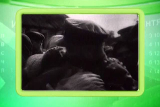 Календарь Губернии 9.05.2014