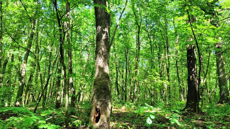 В Самарской области объявили штормовое предупреждение до 3 сентября