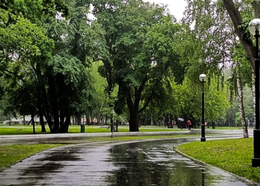 Название статьи
