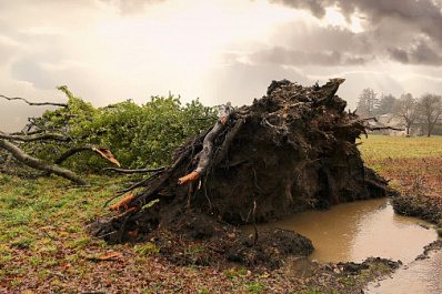 В Самарской области объявили желтый уровень опасности из-за погоды