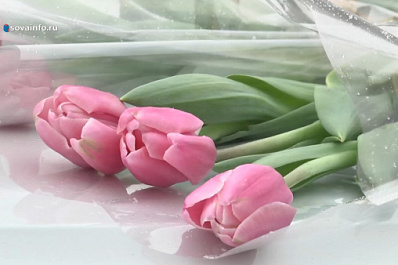 Причина остановки - 8 Марта: самарских автомобилисток поздравляют сотрудники ГАИ