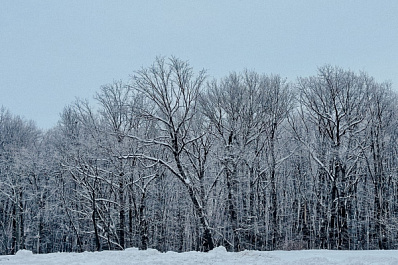 На Рождество погода в Самарской области побила рекорды по осадкам