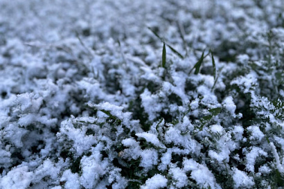 Название статьи