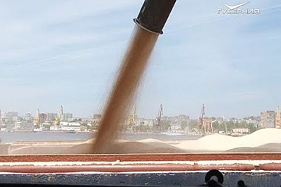 Выручка от экспорта агрокультур за рубеж из Самарской области увеличилась в шесть раз