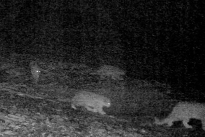 Название статьи