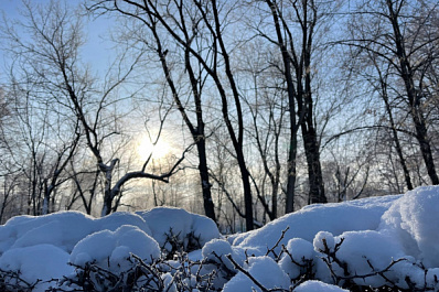 В Самарской области 25 марта будет солнечно и по-весеннему тепло