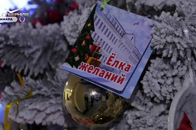 Депутаты Самарской губернской думы к Новому году исполнят желания детей-сирот города Снежное