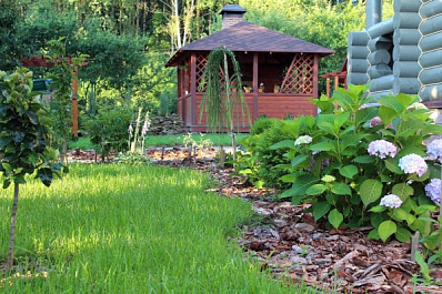 В Кинельском районе благоустроят сельские парки 