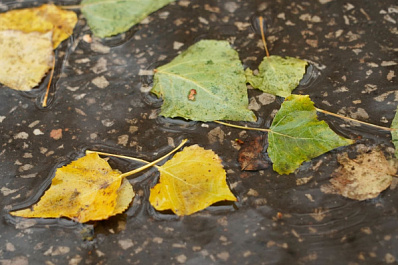 Народные приметы на 24 октября 2025 года: что нельзя делать в этот день