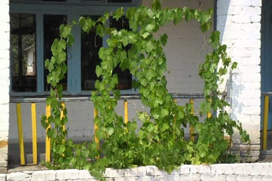 Путь паломника 14.03.2015 