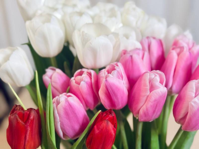 День матери в 2025 году: история праздника