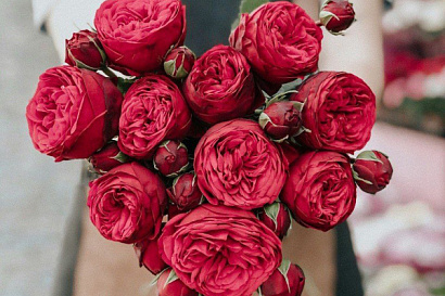 Название статьи