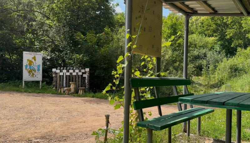 "Создали уют": лесничий из Самарской области благоустроил родник Студеный ключ