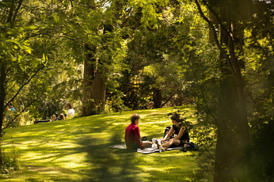 Сегодня станет известно, кто получит гранты на создание комфортной городской среды