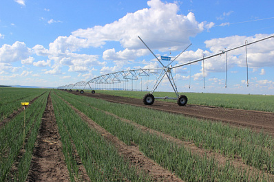 В Самарской области предприятиям АПК компенсируют затраты на ввод в эксплуатацию орошаемых земель