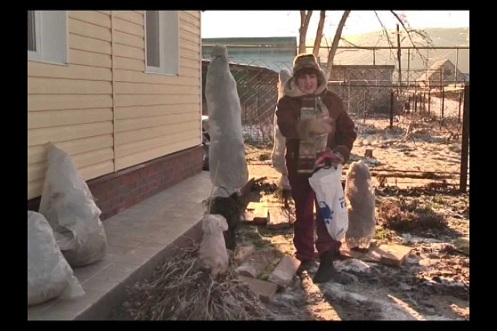 Дачные советы 20.12.2012