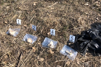 В Тольятти на улице Спортивной нашли череп мужчины