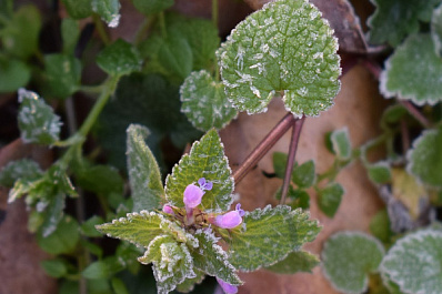В Самарской области побит рекорд минимальной температуры