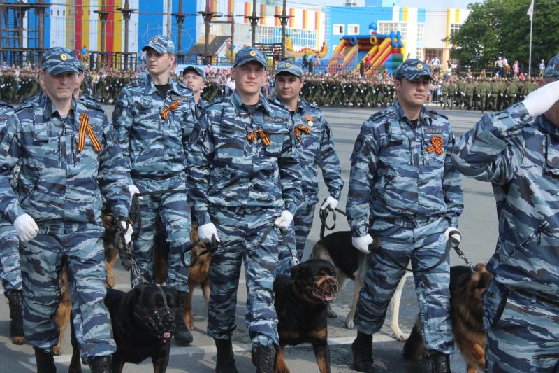 В Тольятти 1,6 тыс. человек приняли участие в шествии в честь Дня Победы