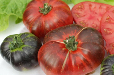 Шоколадная гроздь - на грядке: оригинальные сорта томатов черри