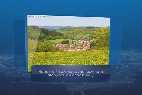 Феодосия Колосяница. Календарь Губернии на 11 июня