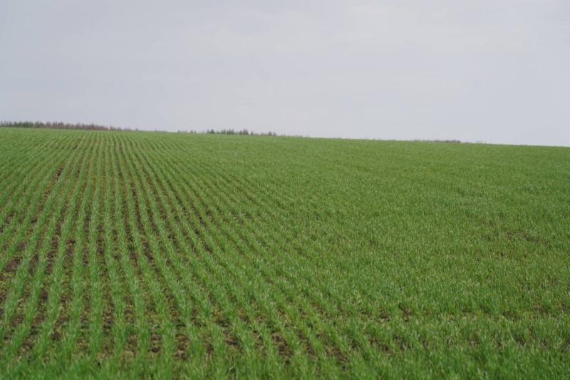 Народные приметы на 14 июля 2025 года: что нельзя делать в этот день