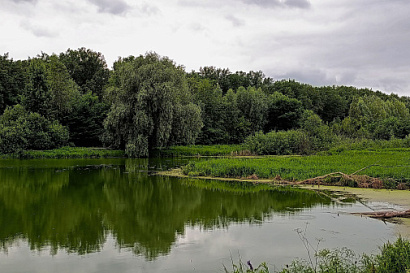 Название статьи