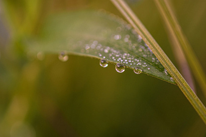 Название статьи