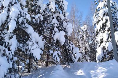 В Самарской области объявлено штормовое предупреждение из-за аномальных морозов
