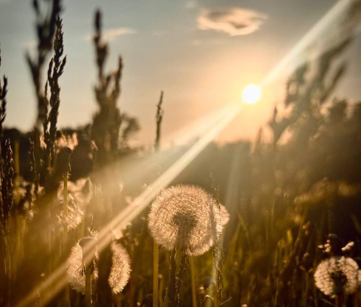 В Самарской области 30 мая вновь ожидается палящее солнце