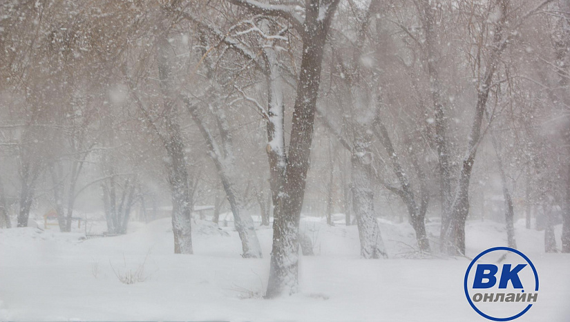 1-4 февраля в истории и архиве "ВК"