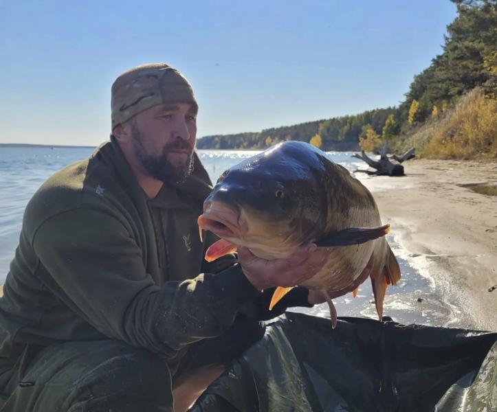 В Новосибирске рыбак поймал сазана весом 19,5 килограмма 
