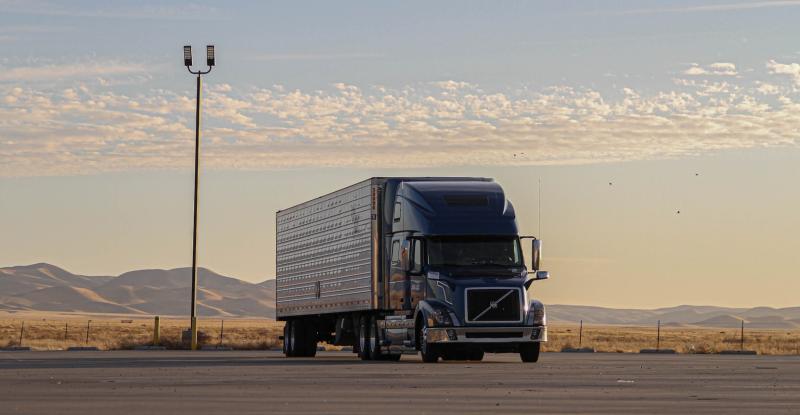 Таможенники не выпустили из России 45 тонн нута в Таджикистан и Киргизию