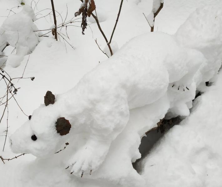 Совята, медведь и выдра: в Сызрани появился снежный "скульптор"