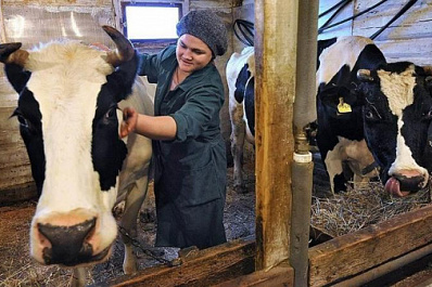 Четыре семьи Красноармейского района оформили социальные контракты 