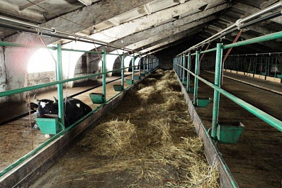 Главу фермерского хозяйства в Самарской области обвиняют в мошенничестве на 7.9 млн рублей
