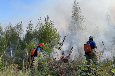 Вспыхнула сухая трава: в Тольятти ночью тушили крупный пожар