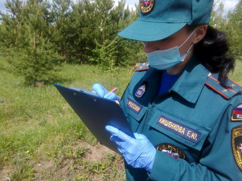 МЧС организовало ежедневные противопожарные рейды в Самарской области