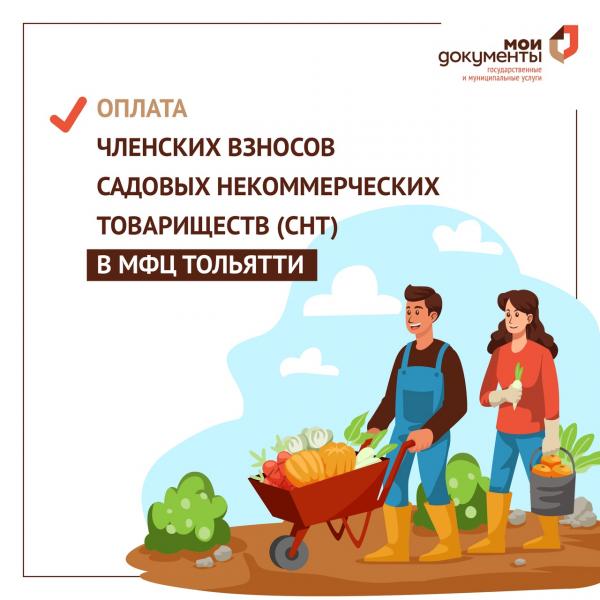 Жителям Тольятти рассказали об особенностях оплаты членских взносов для СНТ в МФЦ